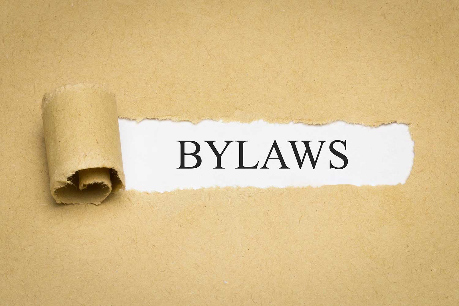 The CMS Bylaws are going to the Ballot